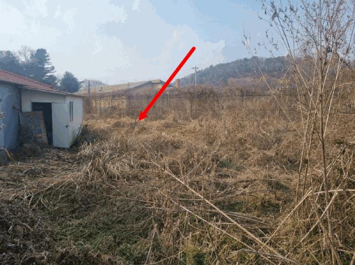 법원경매 2025타경64725 사진4 | 파주시 문산읍 문산리 10-93 근린상가 경매