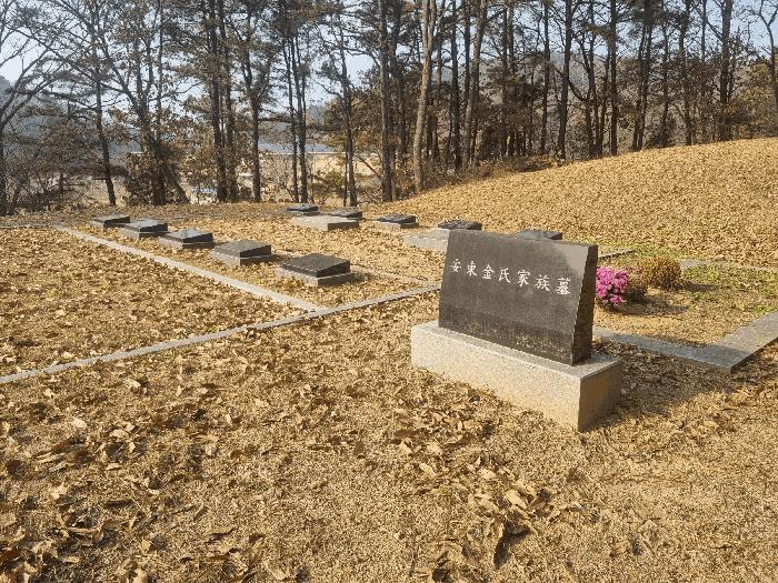 법원경매 2025타경64725 사진5 | 파주시 문산읍 문산리 10-93 근린상가 경매