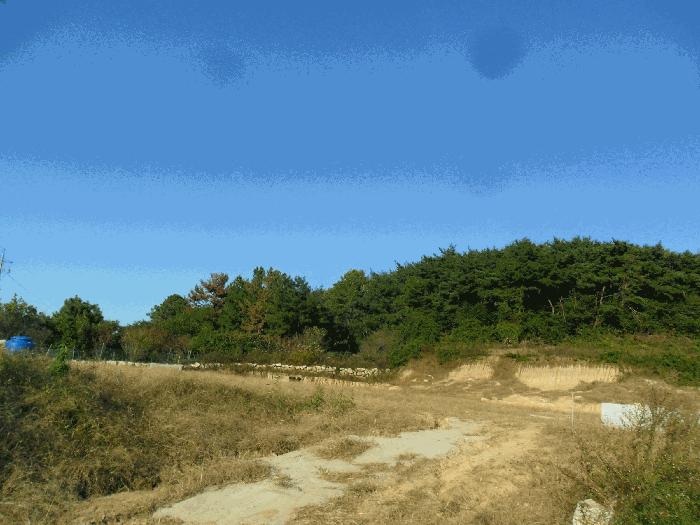 경상북도 경주시 배반동 산16 법원경매 물건 대표사진