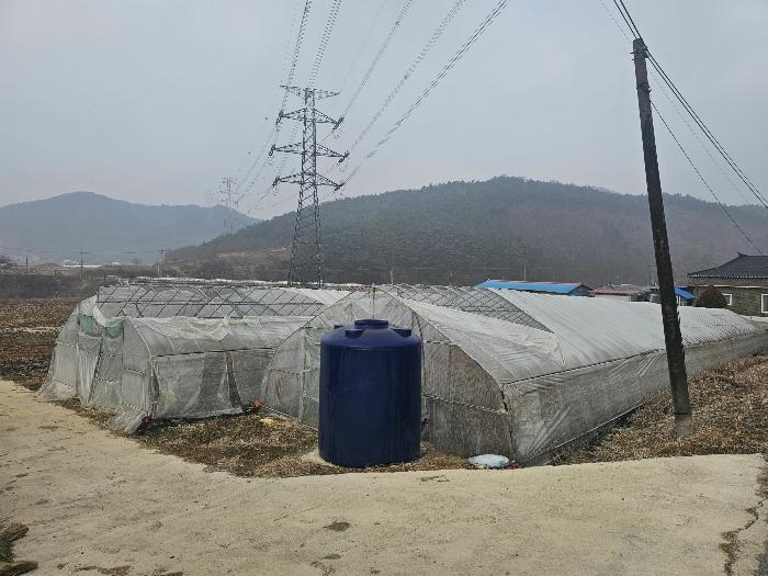 2025타경53 법원경매 사진4 | 충남 청양군 전 경매