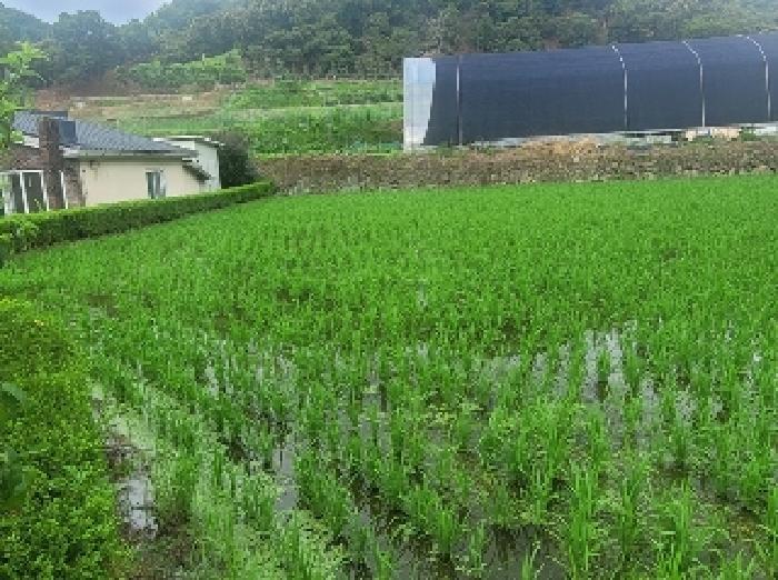 2025타경66 법원경매 사진6 | 충남 공주시 답 경매