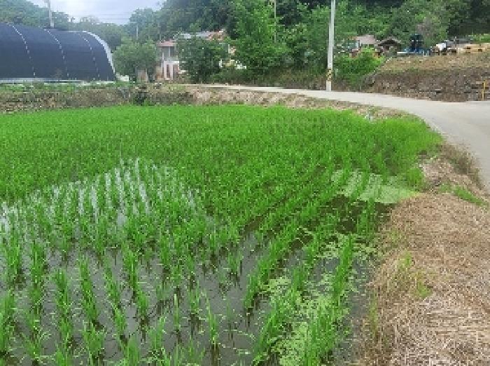 2025타경66 법원경매 사진7 | 충남 공주시 답 경매