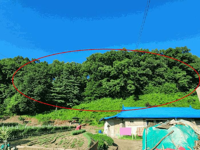충청남도 공주시 유구읍 유구리 산89 법원경매 물건 대표사진