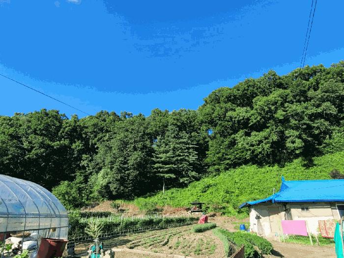 2025타경68 법원경매 사진2 | 충남 공주시 임야 경매