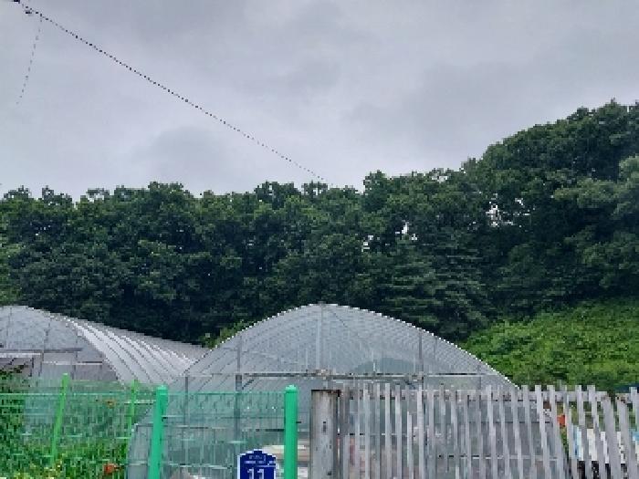 2025타경68 법원경매 사진4 | 충남 공주시 임야 경매