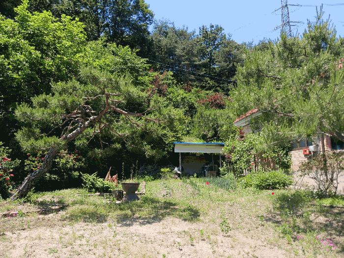 2025타경70 법원경매 사진2 | 충남 청양군 주택건물 경매