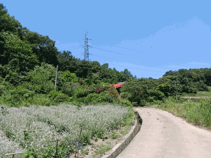 2025타경70 법원경매 사진8 | 충남 청양군 주택건물 경매