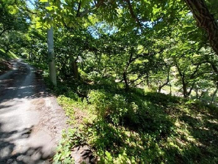 2025타경76 법원경매 사진9 | 충남 공주시 전답 경매