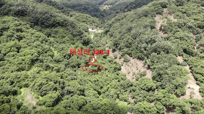 충청남도 공주시 정안면 태성리 217 법원경매 물건 대표사진