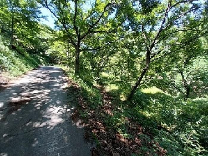 2025타경76 법원경매 사진8 | 충남 공주시 답 경매