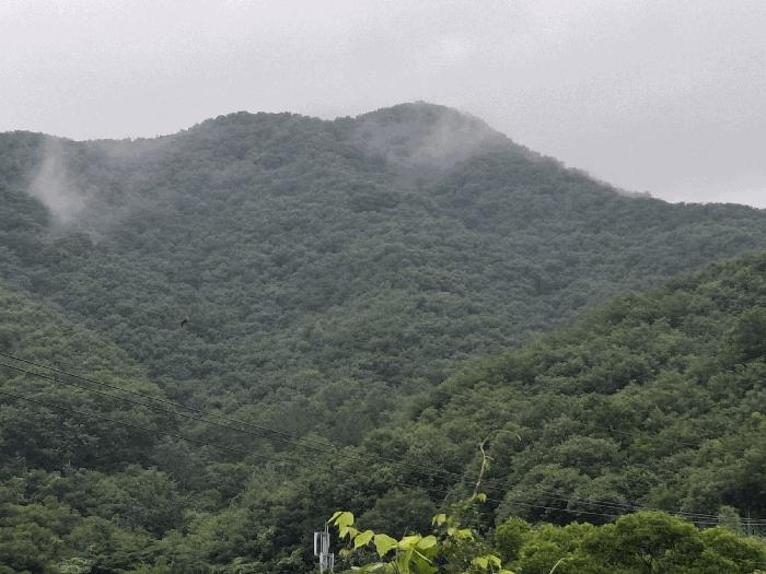 충청남도 공주시 우성면 죽당리 산21 법원경매 물건 대표사진