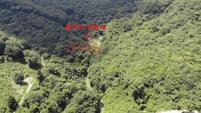 2025타경82 법원경매 사진2 | 충남 공주시 임야 경매