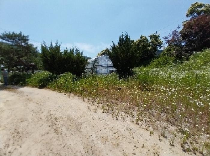 2025타경20264 법원경매 사진27 | 충남 공주시 근린시설 경매