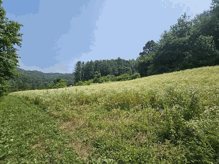 강원특별자치도 영월군 주천면 금마리 407 법원경매 물건 대표사진