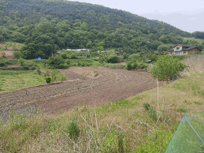 충청남도 공주시 유구읍 구계리 293 법원경매 물건 대표사진