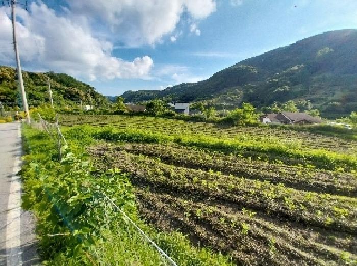 2025타경20282 법원경매 사진13 | 충남 공주시 전 경매