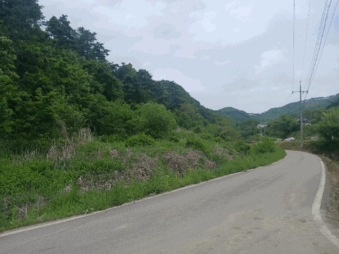 2025타경20282 법원경매 사진2 | 충남 공주시 전 경매