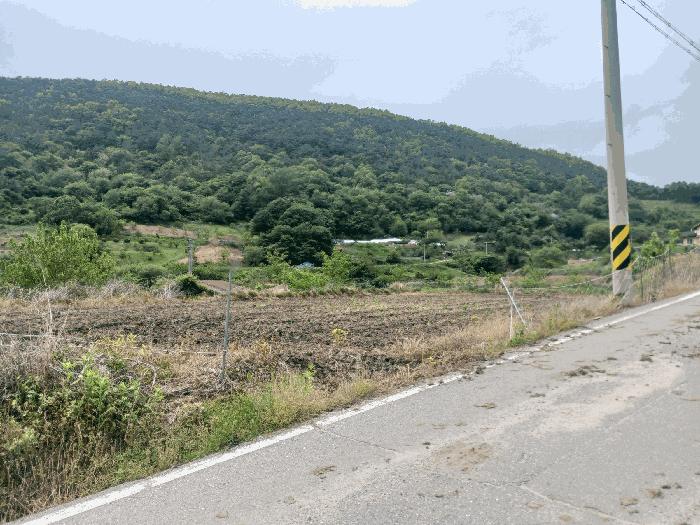 2025타경20282 법원경매 사진4 | 충남 공주시 전 경매