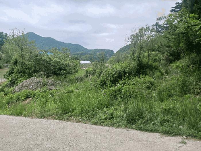 2025타경20282 법원경매 사진5 | 충남 공주시 전 경매