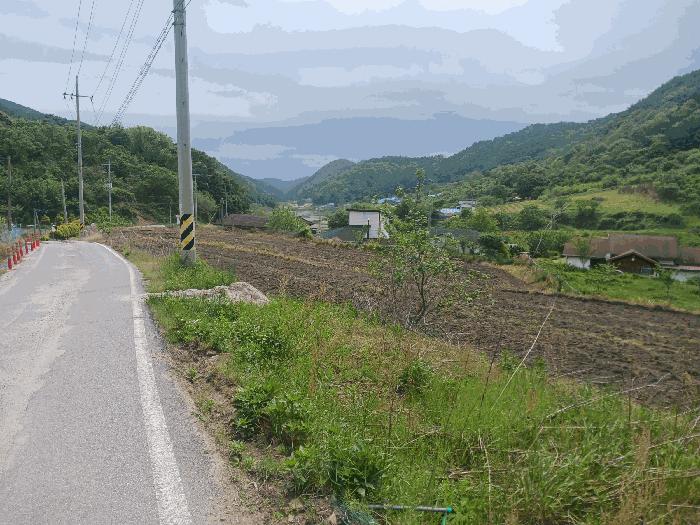 충남 공주시 유구읍 세동리 106 답 사진 6