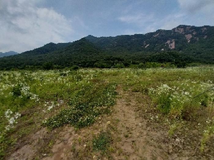 2025타경20288 법원경매 사진4 | 충남 공주시 전답 경매