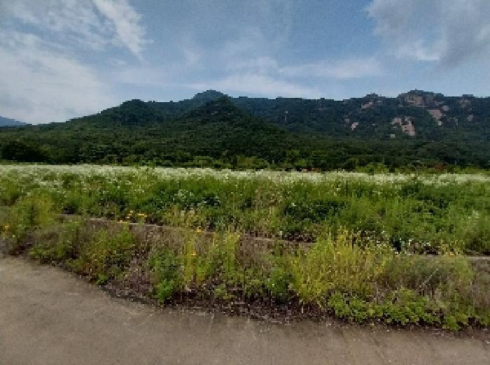 2025타경20288 법원경매 사진7 | 충남 공주시 전답 경매
