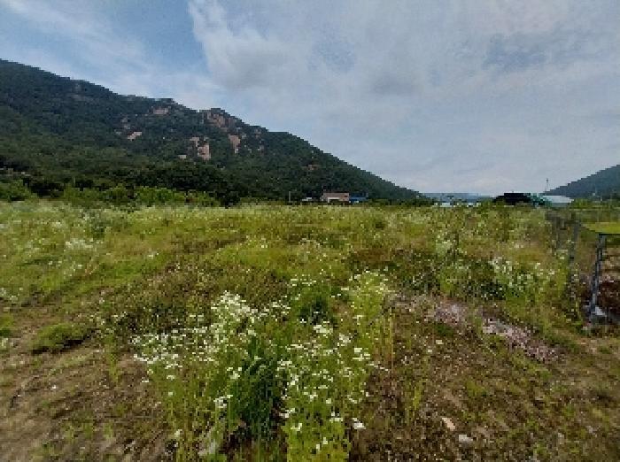 2025타경20288 법원경매 사진3 | 충남 공주시 전 경매