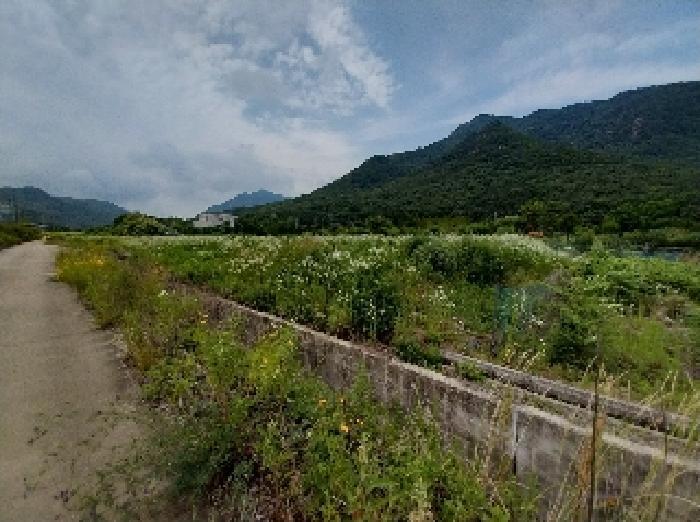 2025타경20288 법원경매 사진6 | 충남 공주시 전 경매