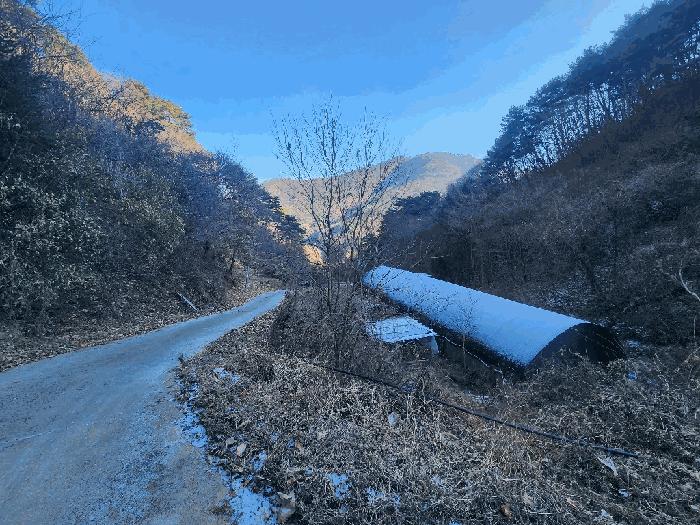 법원경매 2025타경1120 사진17 | 영월군 산솔면 전 경매