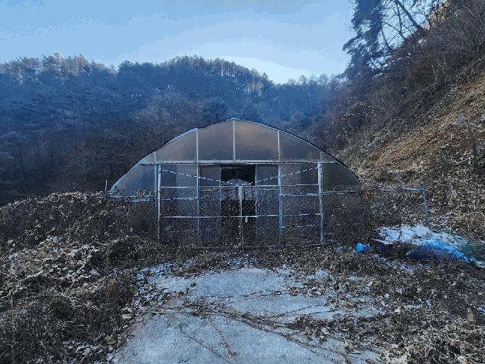 법원경매 2025타경1120 사진20 | 영월군 산솔면 화원리 235-5 전답 경매