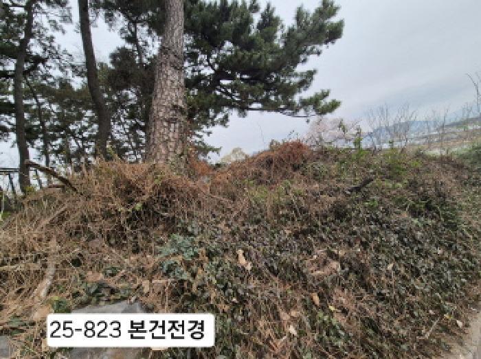 법원경매 2025타경823 사진10 | 부산 강서구 죽림동 1043 대지 경매