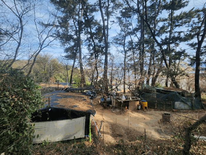 법원경매 2025타경823 사진6 | 부산 강서구 죽림동 1043 대지 경매