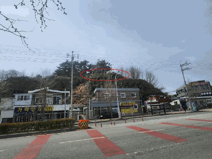 법원경매 2025타경823 사진7 | 부산 강서구 죽림동 1043 대지 경매