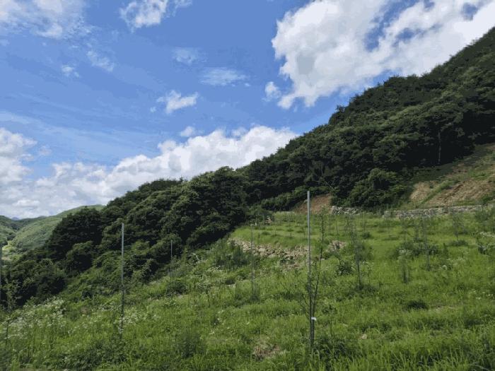 경상북도 문경시 동로면 석항리 996 법원경매 물건 대표사진
