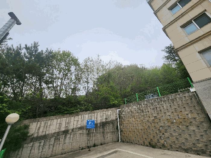 강원특별자치도 평창군 봉평면 면온리 산190 법원경매 물건 대표사진