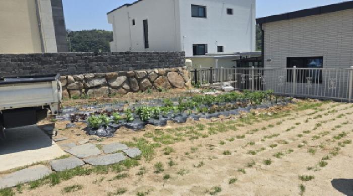 2025타경7352 법원경매 사진7 | 경북 칠곡군 대지 경매