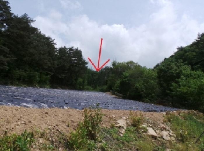 법원경매 2025타경30466 사진8 | 평창군 진부면 상진부리 임야 경매