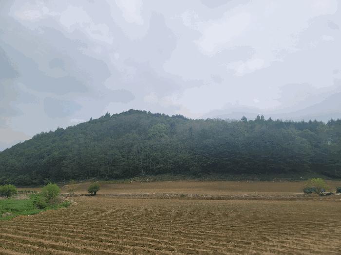 법원경매 2025타경30466 사진2 | 평창군 대관령면 병내리 353-2 대지 경매