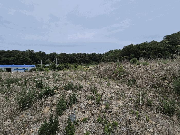 경상북도 칠곡군 기산면 영리 803-2 법원경매 물건 대표사진