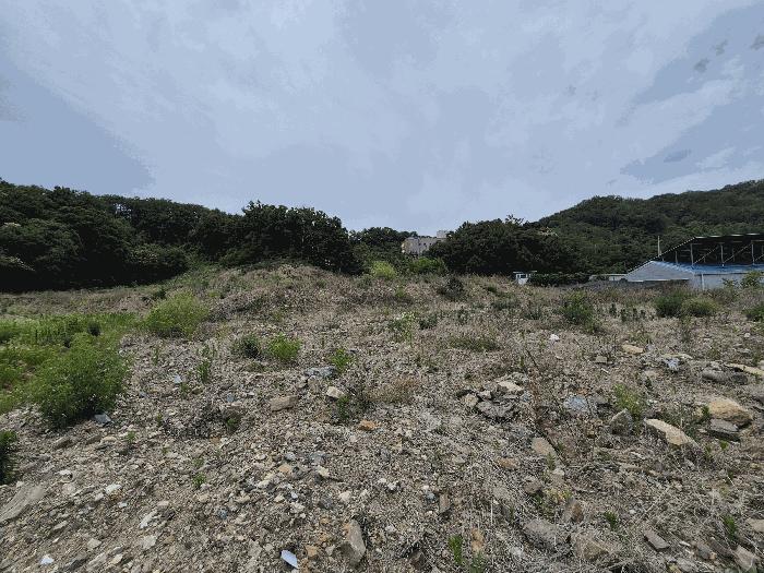 법원경매 2025타경8129 사진3 | 칠곡군 기산면 영리 803-2 대지,임야,전답 경매