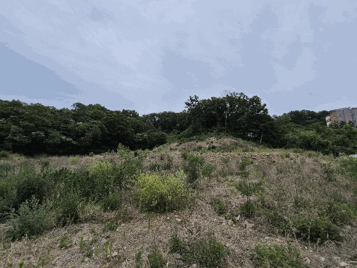 법원경매 2025타경8129 사진6 | 칠곡군 기산면 영리 803-2 대지,임야,전답 경매