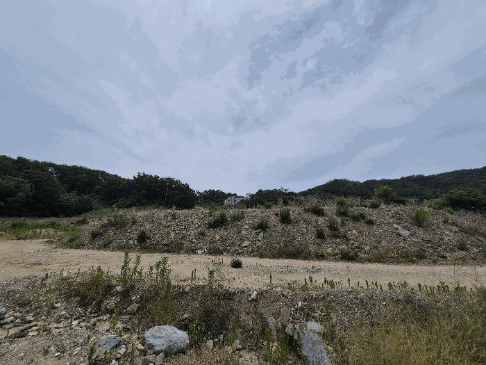 법원경매 2025타경8129 사진8 | 칠곡군 기산면 영리 803-2 대지,임야,전답 경매