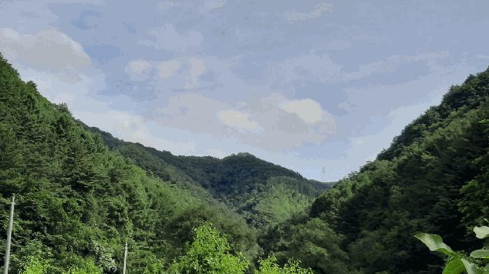 법원경매 2025타경30495 사진2 | 정선군 화암면 석곡리 630 전 경매