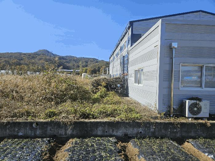 2025타경3484 법원경매 사진23 | 경북 성주군 공장 경매