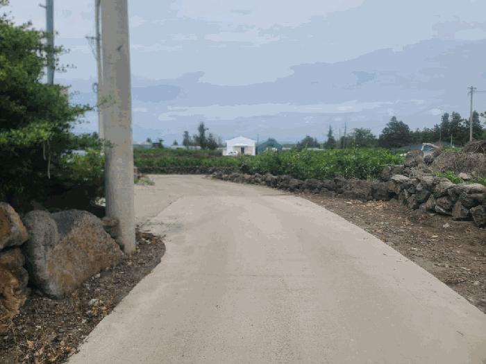 2025타경1205 법원경매 사진4 | 제주 서귀포시 임야 경매