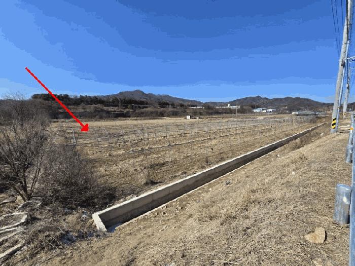 2025타경48 법원경매 사진2 | 충북 영동군 전답 경매