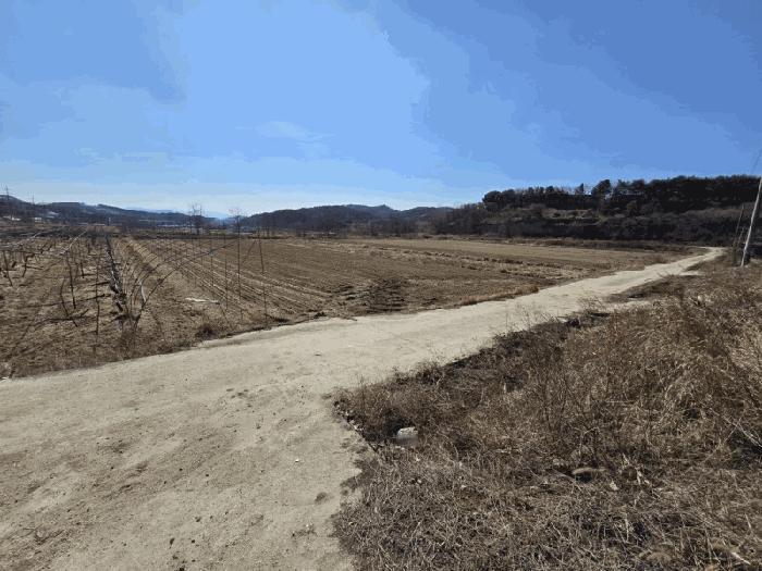 2025타경48 법원경매 사진4 | 충북 영동군 전답 경매