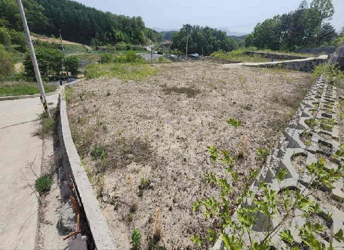 2025타경71 법원경매 사진13 | 충북 옥천군 임야 경매