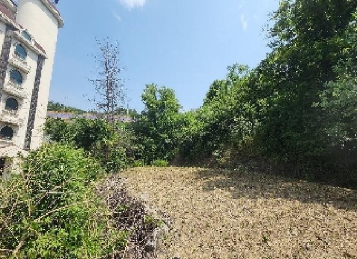 2025타경86 법원경매 사진5 | 충북 영동군 전답 경매