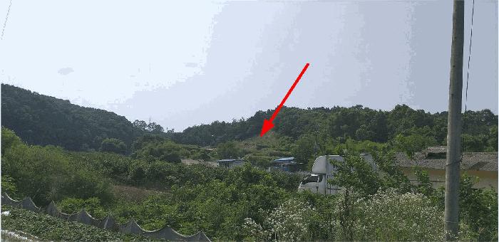 2025타경88 법원경매 사진2 | 충북 옥천군 임야 경매